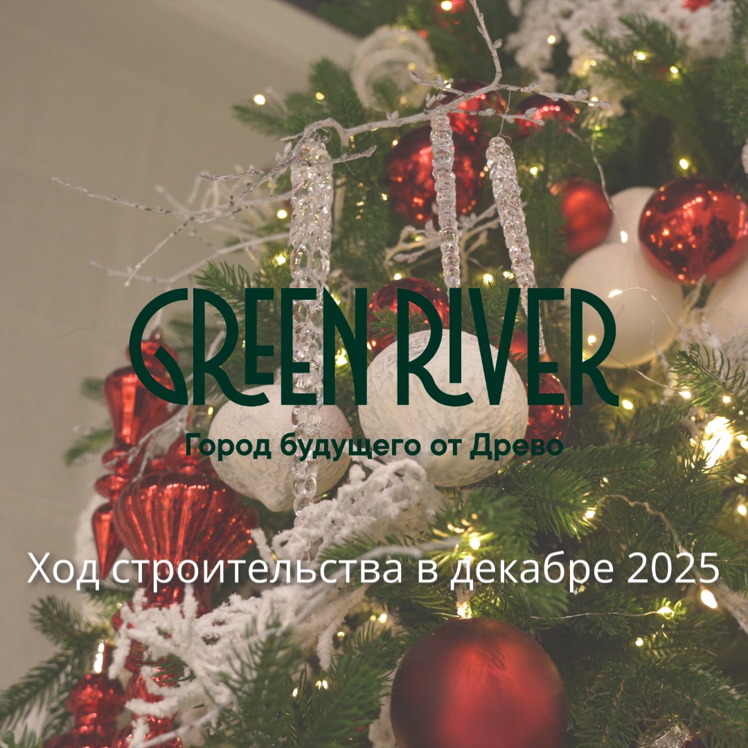 Видео декабрь